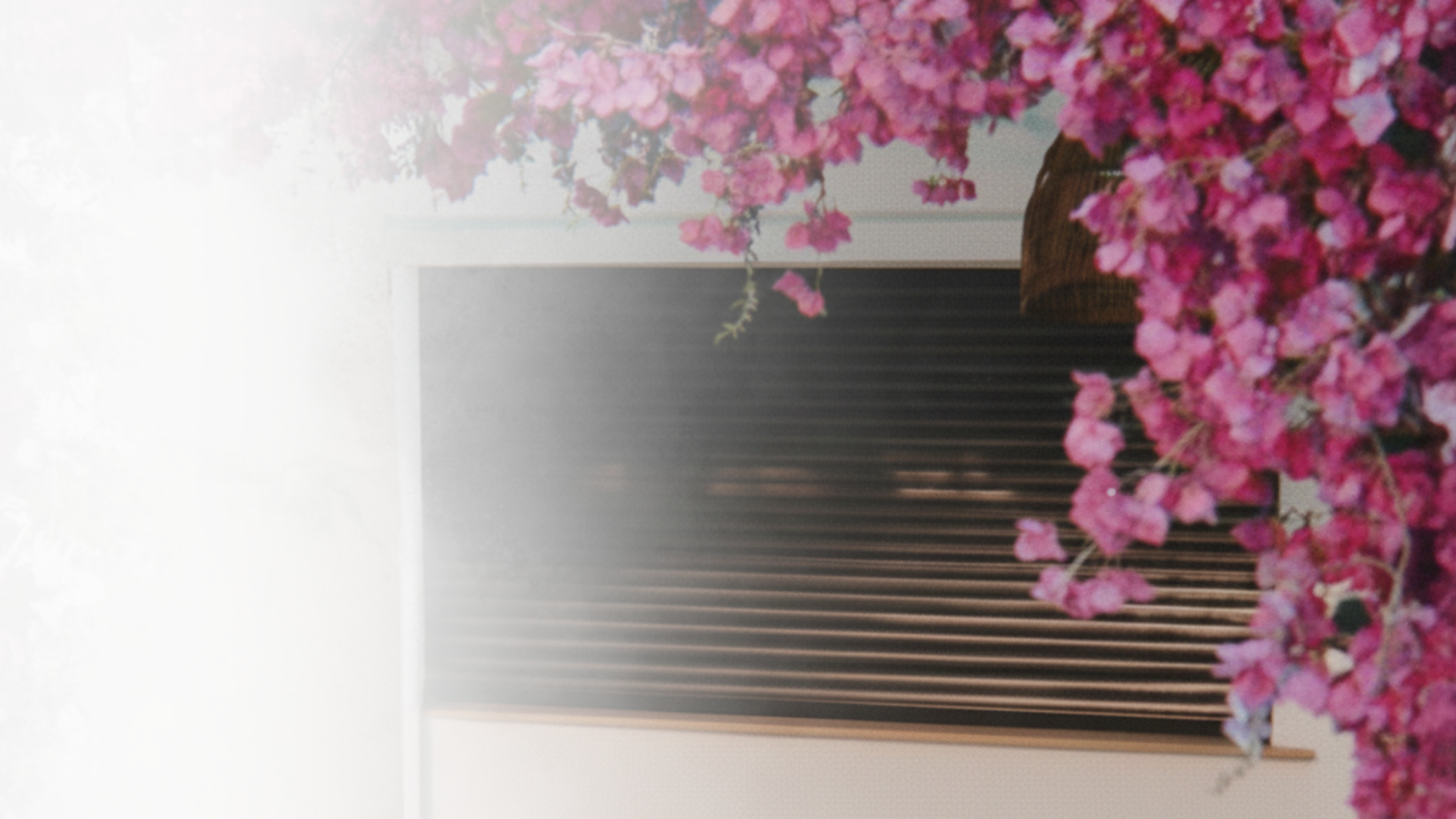 Nőnapi Jóga & Brunch